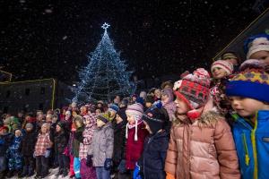025 Pozdrav zimi inpraznik luci Foto atelje Postojna